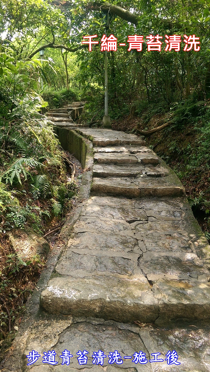 千綸-步道青苔清洗